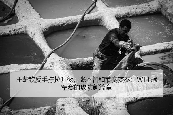王楚钦反手拧拉升级，张本智和节奏变奏：WTT冠军赛的攻防新篇章