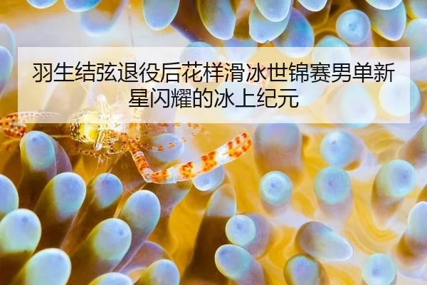 yu-sheng-jie-xian-tui-yi-hou-hua-yang-hua-bing-shi-jin-sai-nan-dan-xin-xing-shan-yao-de-bing-shang-ji-yuan-2-909.jpg
