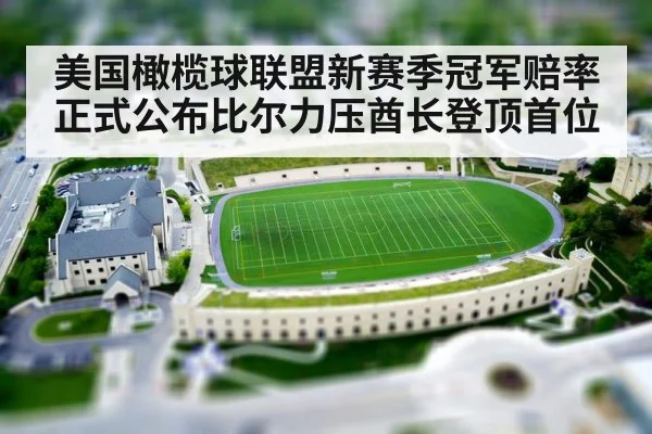 美国橄榄球联盟新赛季冠军赔率正式公布比尔力压酋长登顶首位