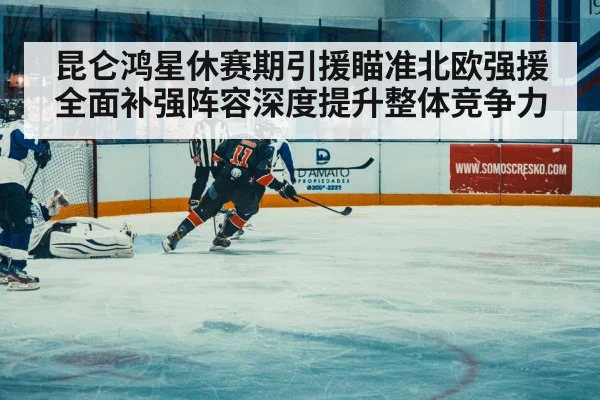 ice hockey match action
