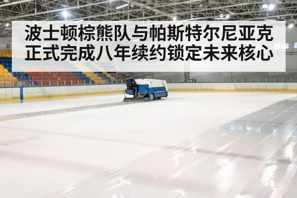 hockey rink arena